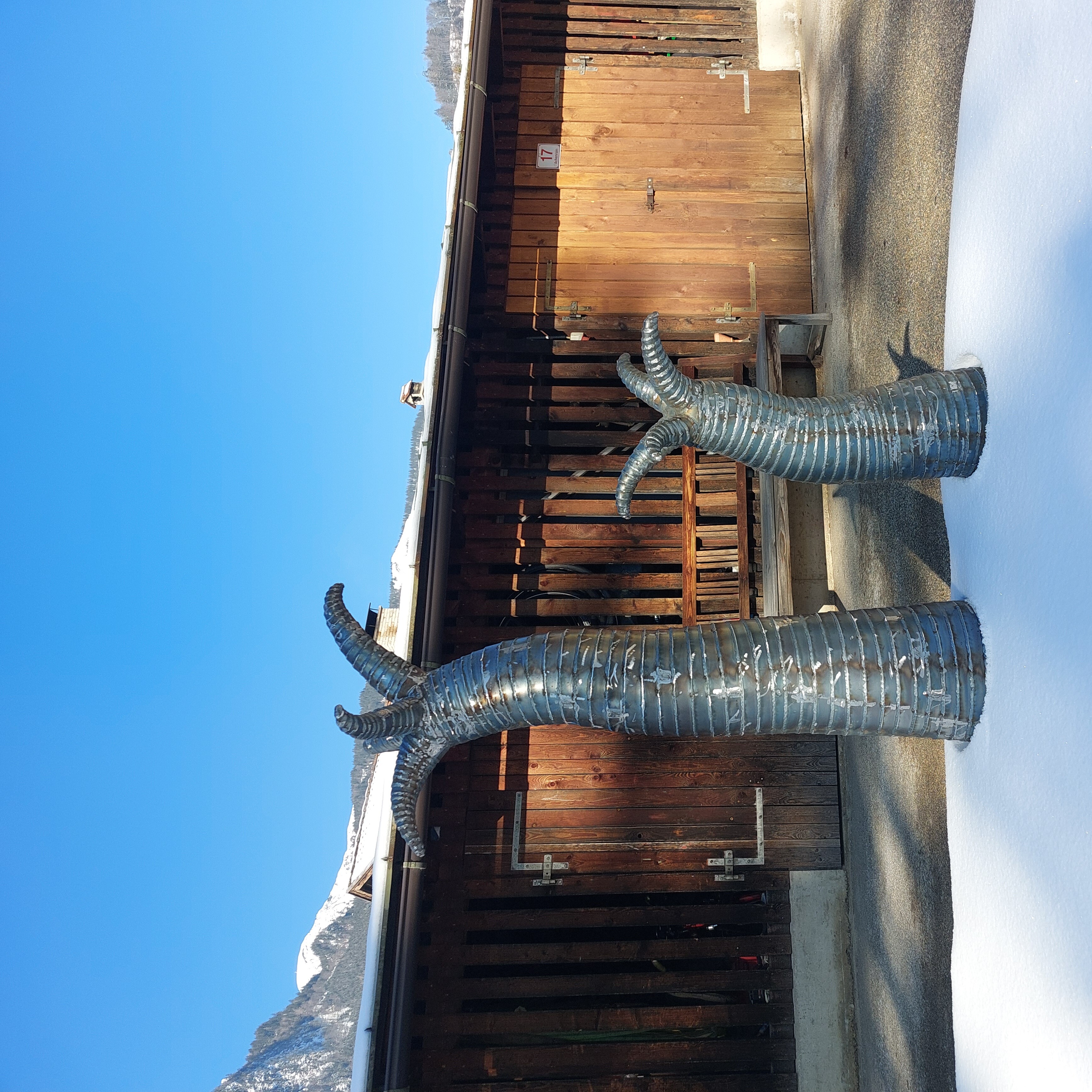 Setzlinge im Schnee vor einer Holzhütte