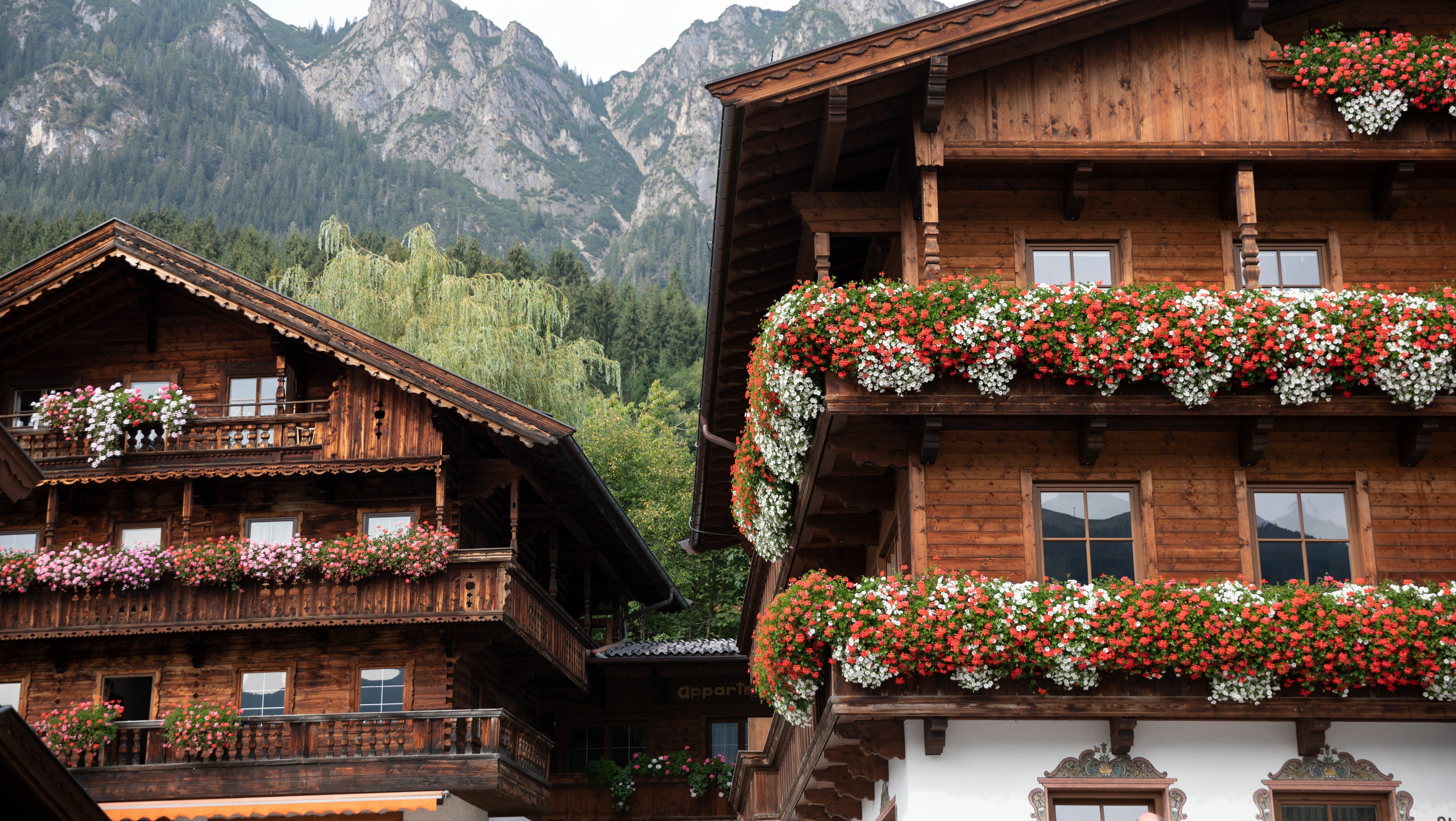 Forum Alpbach, Bauernhäuser mit Blumen