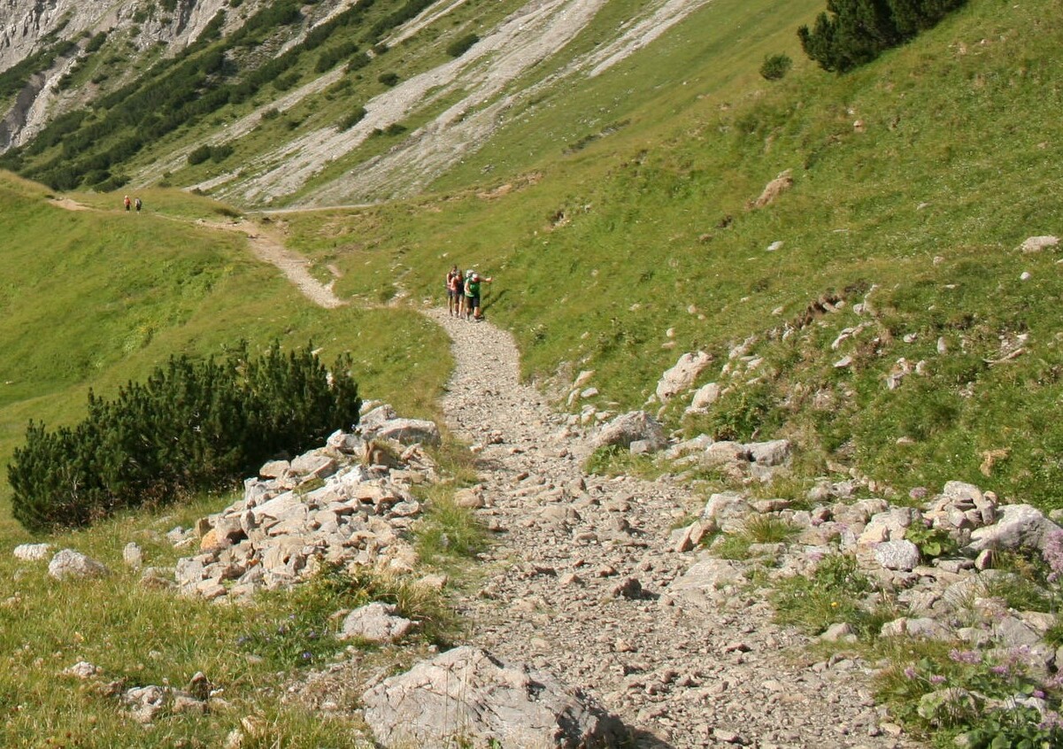 Bergwanderweg mit Wanderer im Sommer