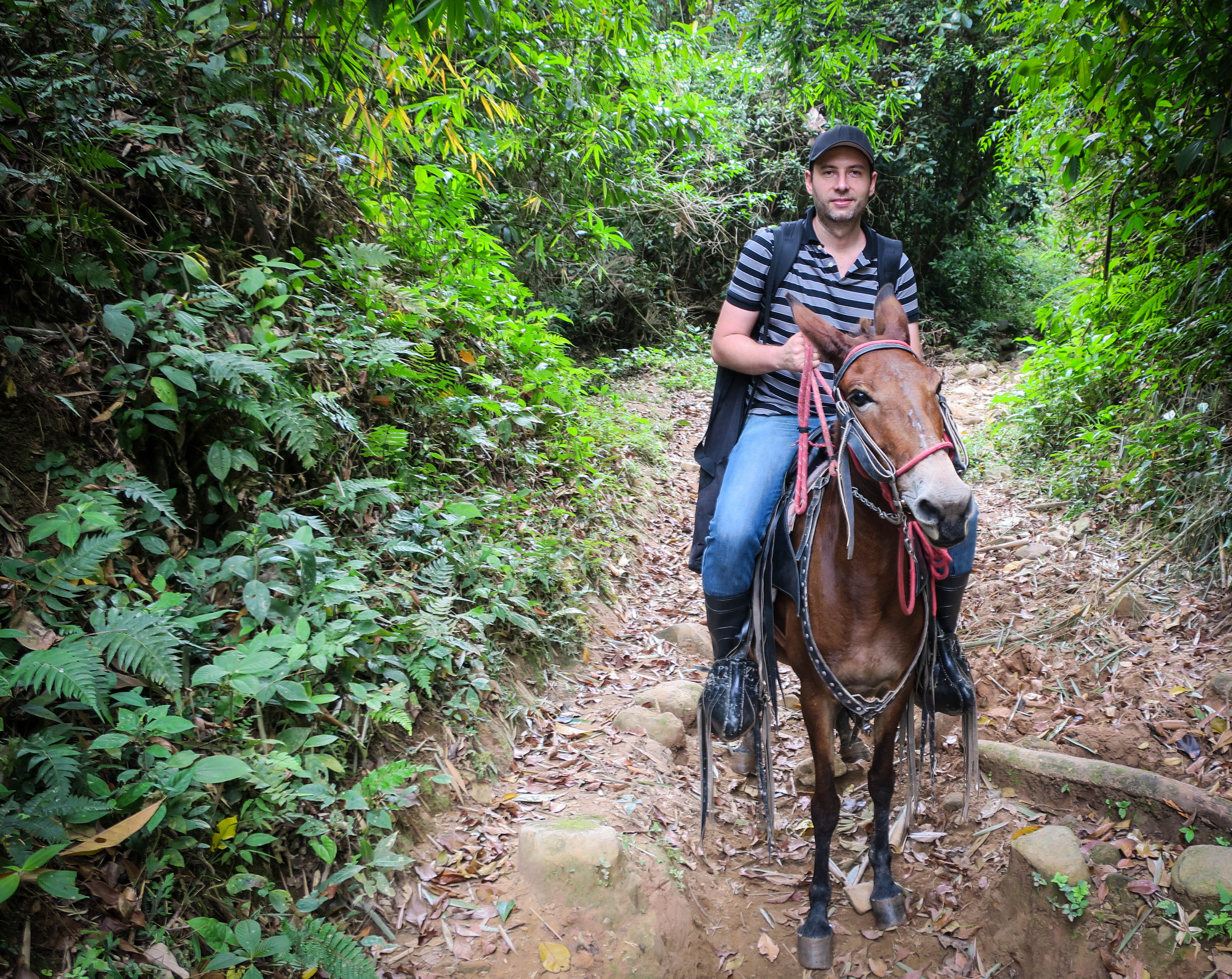 Klaus Brunner, Esel, Nicaragua