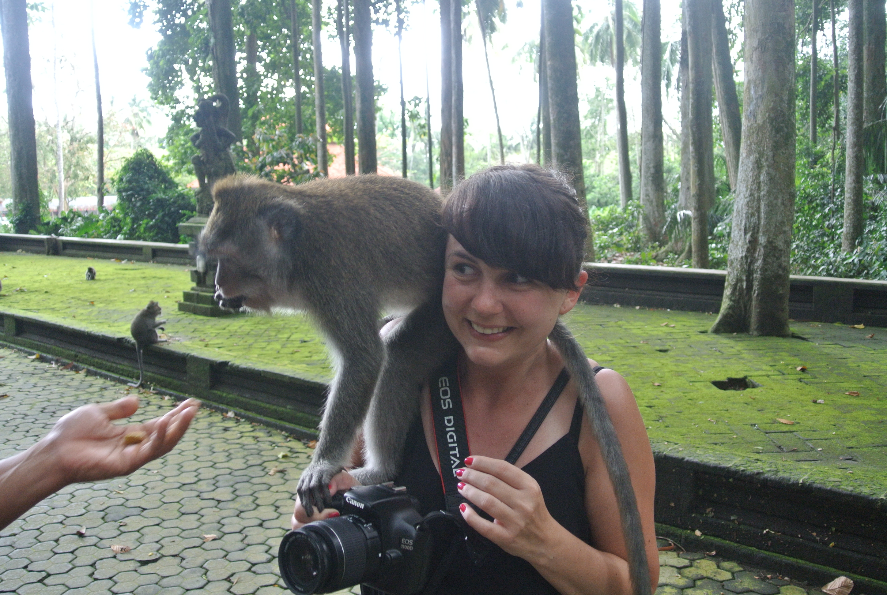 Angelika Pagitz, Bali mit Affe