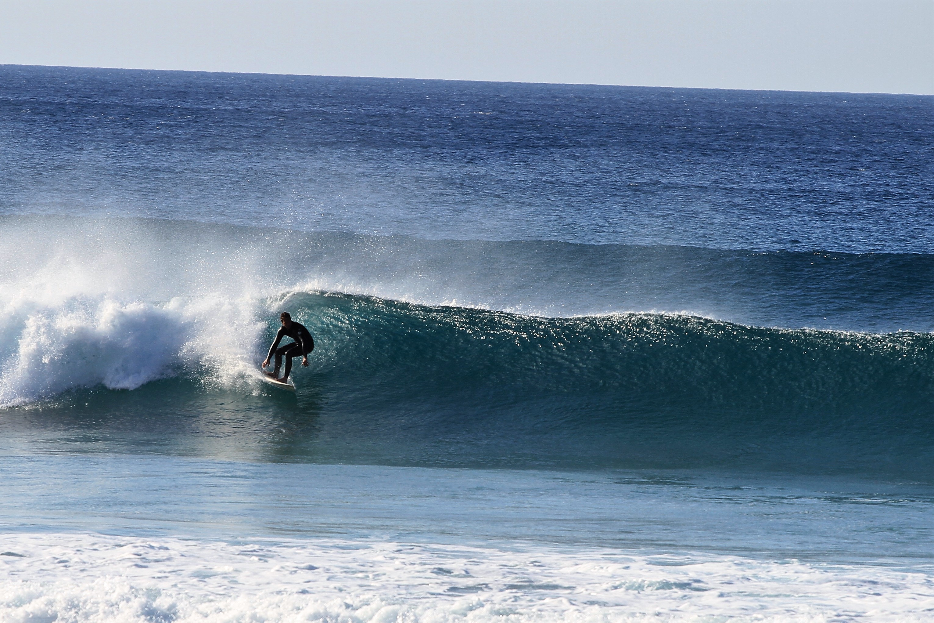 Michael Walzer, Surfen