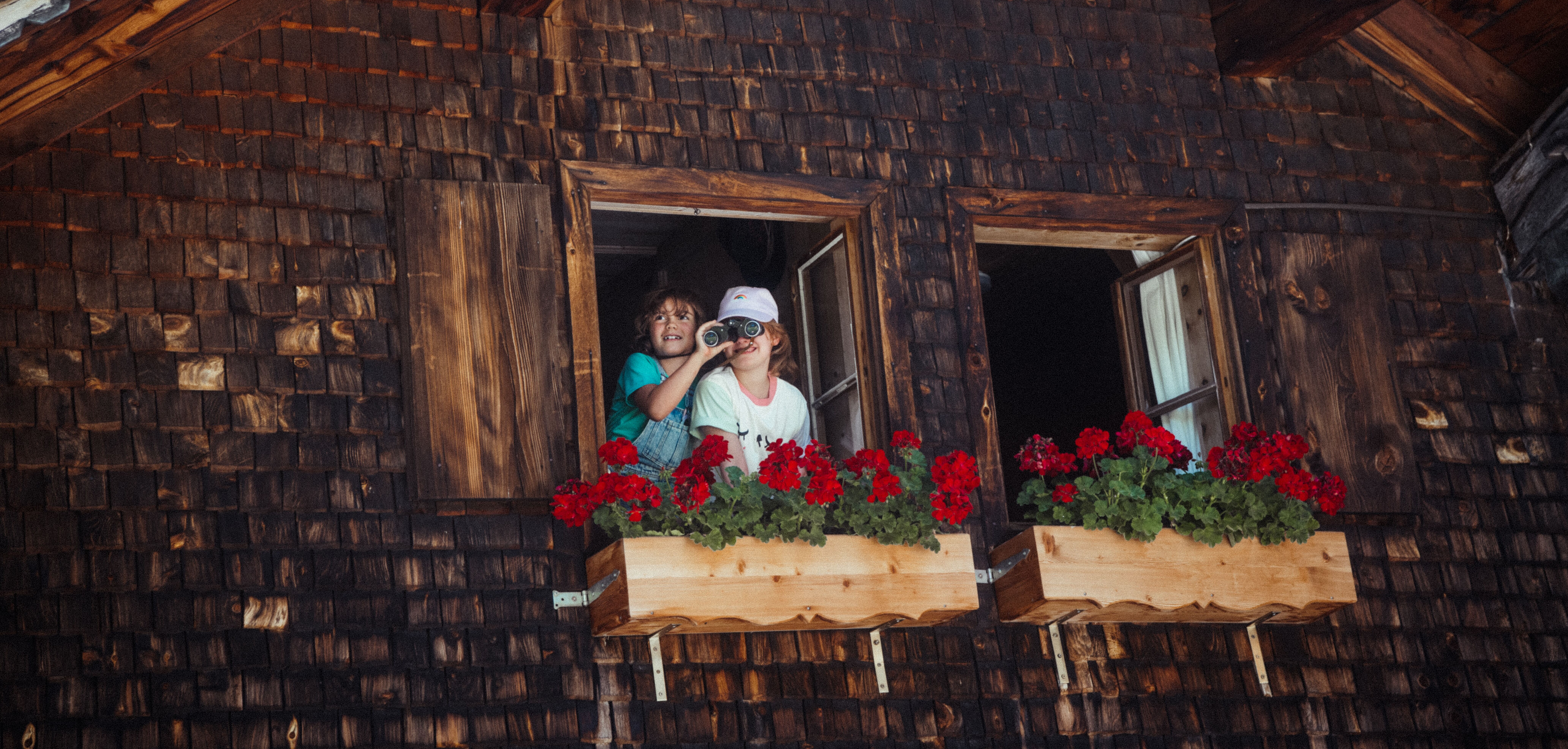 Sonnenuntergang in den Bergen (Gehrenspitze)