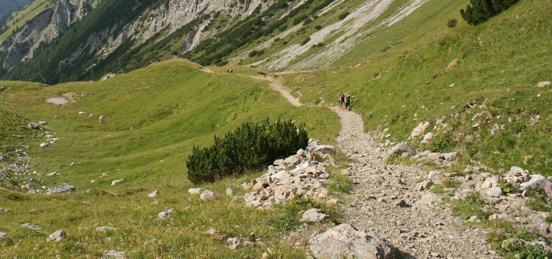 Hiking path in summer
