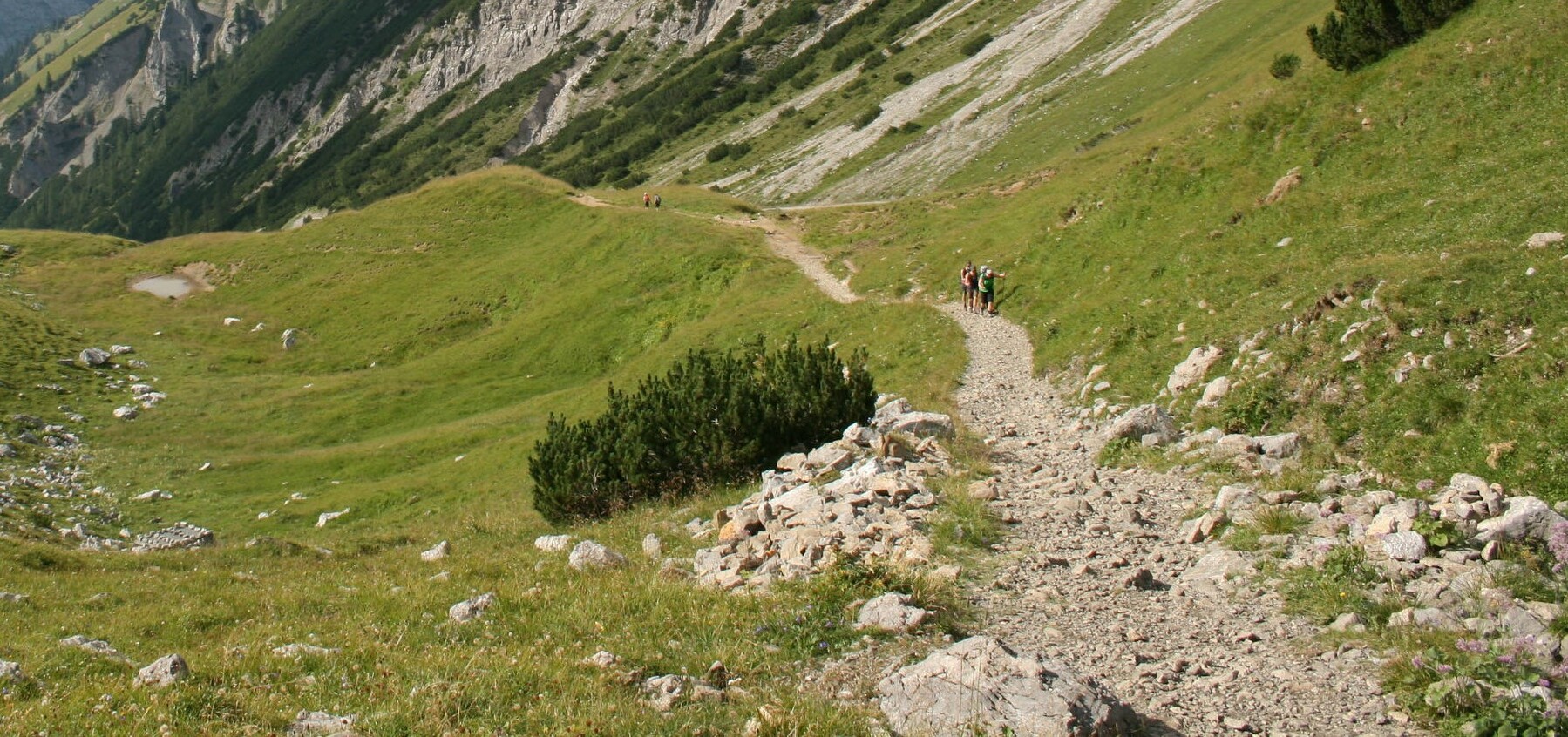 Bergwanderweg mit Wanderer im Sommer